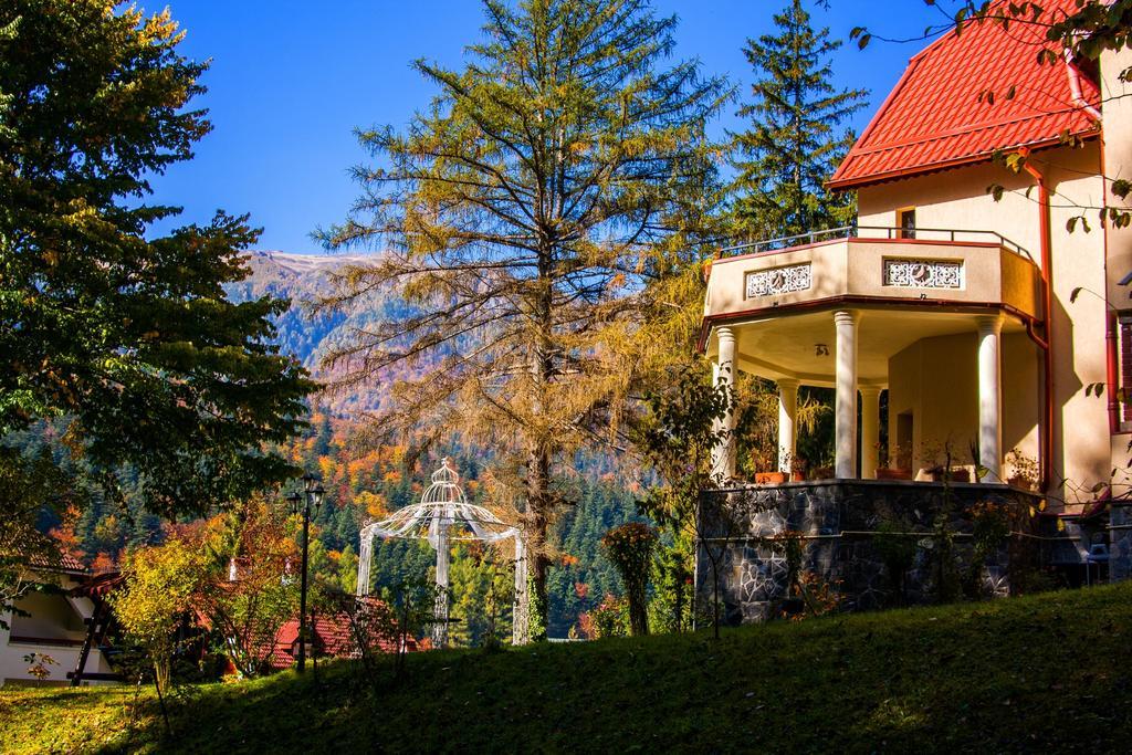 Pensiunea Boema Sinaia Ngoại thất bức ảnh
